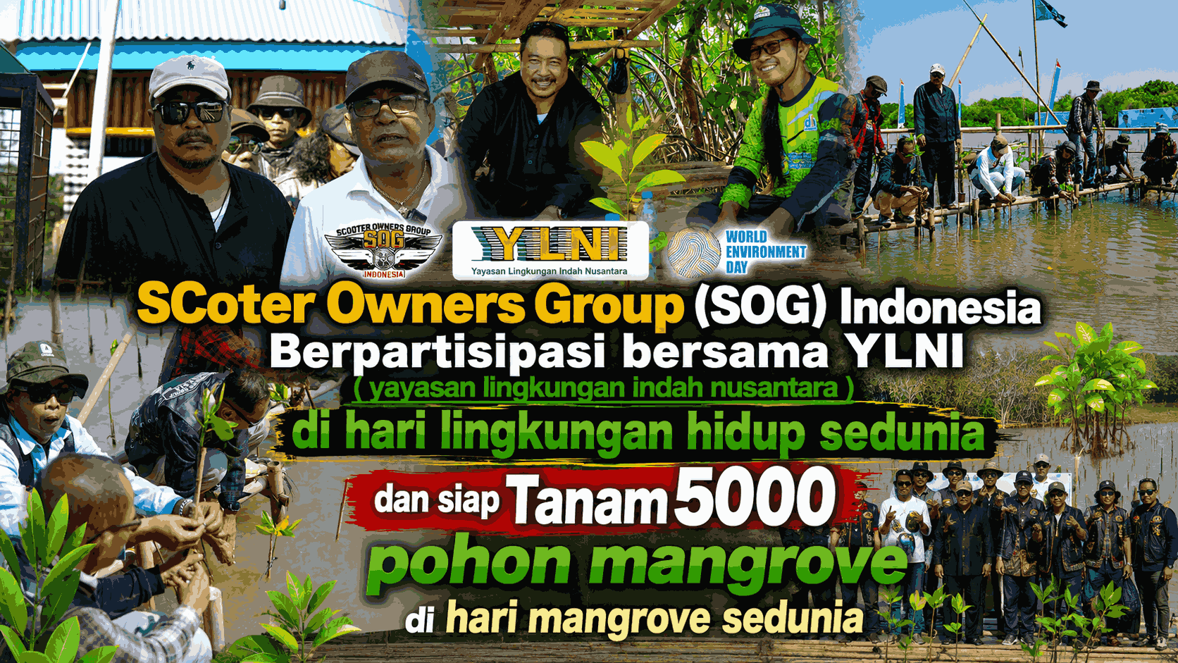SOG Indonesia Siap Tanam 5.000 Mangrove Bersama YLNI untuk Pemulihan Ekosistem Pesisir Utara Subang