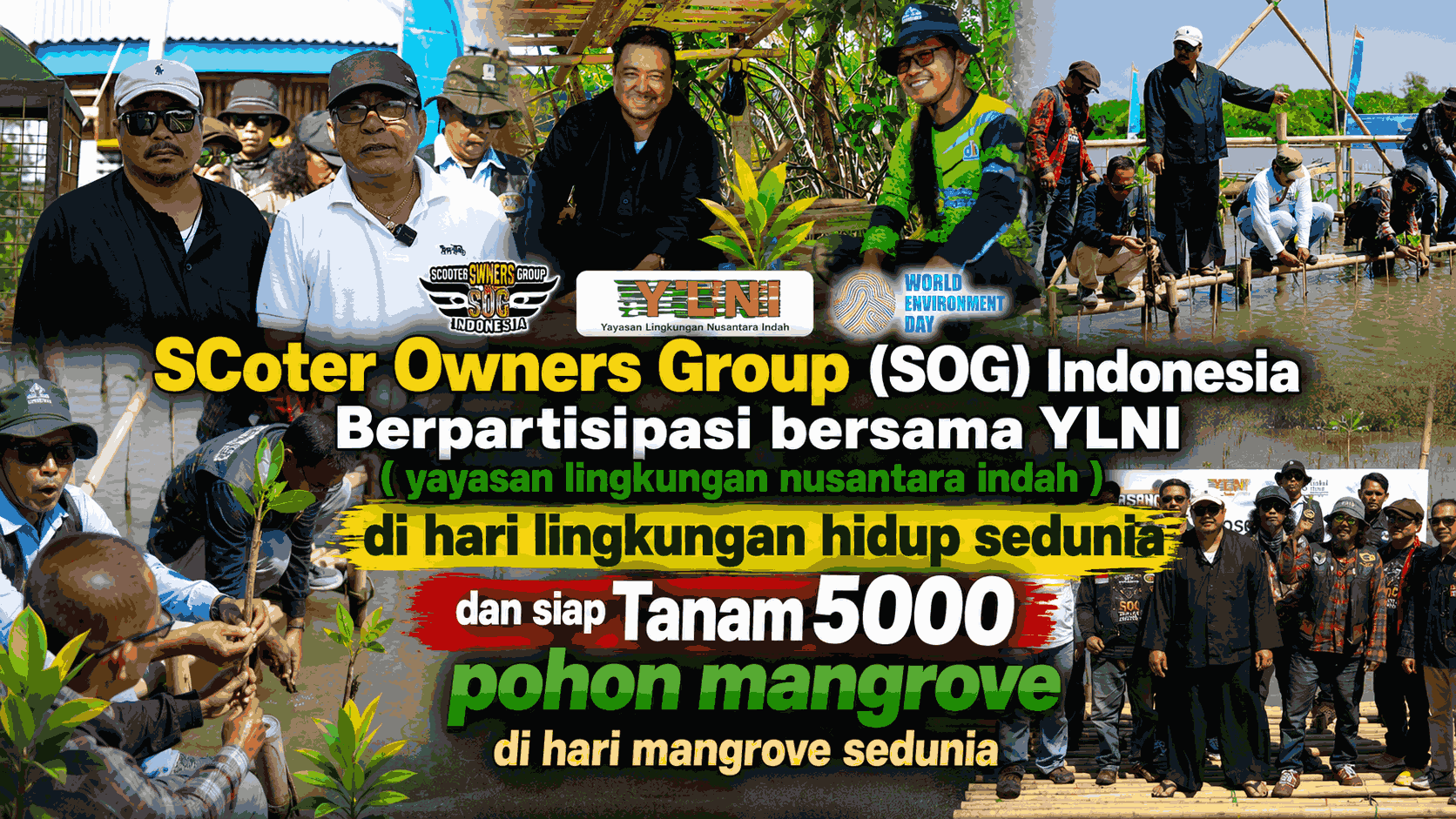 SOG Indonesia Siap Tanam 5.000 Mangrove Bersama YLNI untuk Pemulihan Ekosistem Pesisir Utara Subang