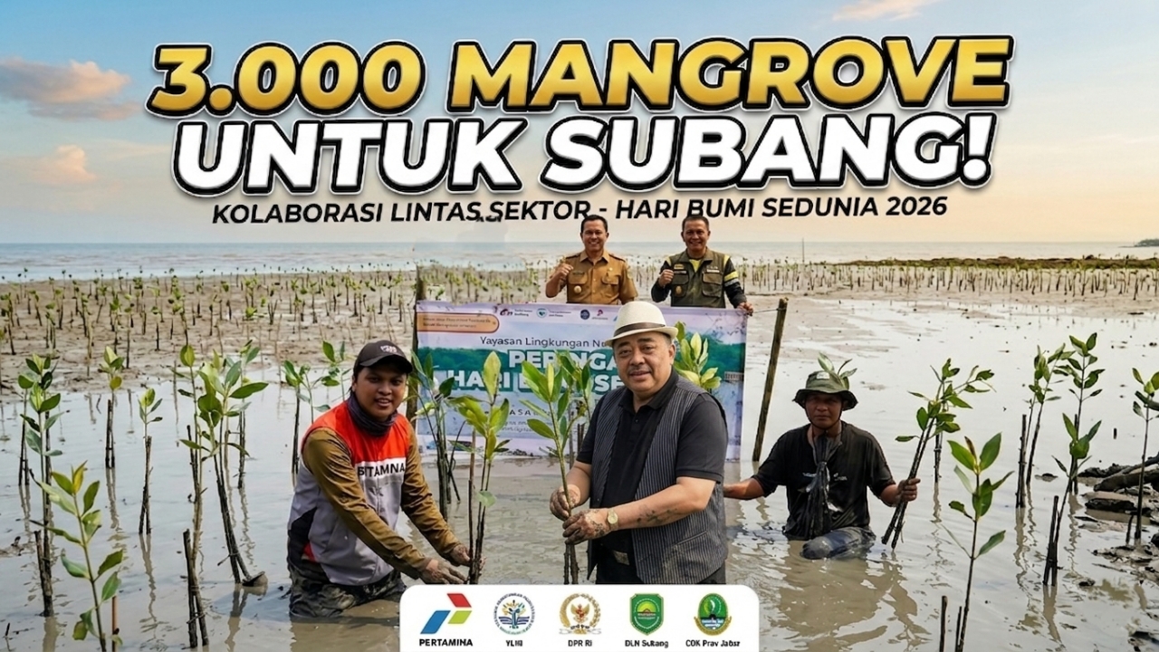 YLNI Gandeng Pertamina EP dan Lintas Sektor Tanam 3.000 Bibit Mangrove di pesisir Subang